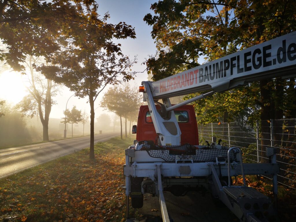 Besichtigung vor Ort